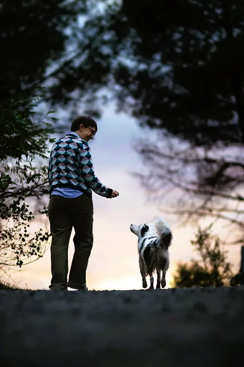 Morgane et son berger australien complices au crépuscule